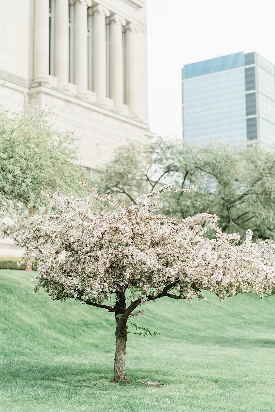 Indianapolis Wedding Photographer; Indiana Historical Society Wedding